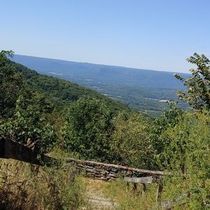 Meet your Posher, Priscilla